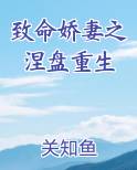 致命娇妻剧情介绍