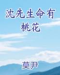沈先生命有桃花