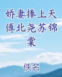 娇妻捧上天傅北尧苏锦棠