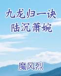 九龙归一诀在线阅读